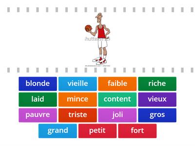 French Adjectives-Physical Descriptions 