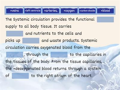 Systemic Circulatory Pathway 