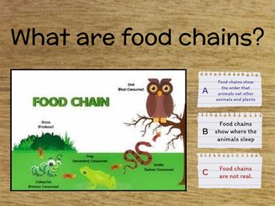 Science Quiz SEND VP- food chains