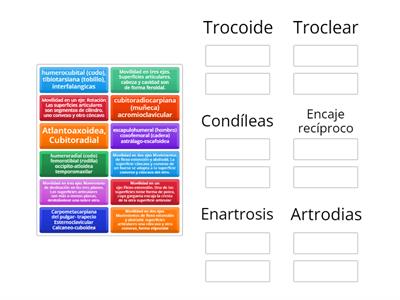 Articulaciones Forma de superficie articular (Diartrosis)