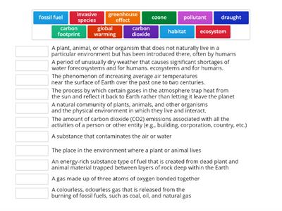 Advanced Vocabulary: Environment 