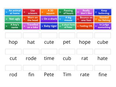 Short syllable  (Vowel says it's sound) or Bossy /e/ syllable (Vowel says it's name).