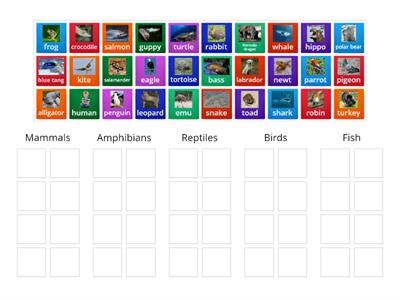 Classifying Vertebrates