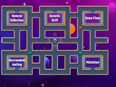 Mechanisms of Evolution Maze Chase