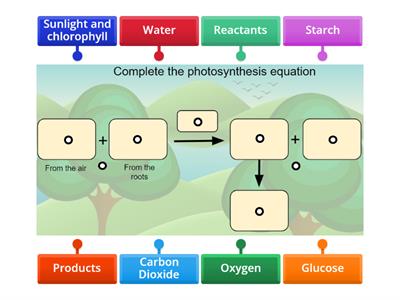 Photosynthesis Equation