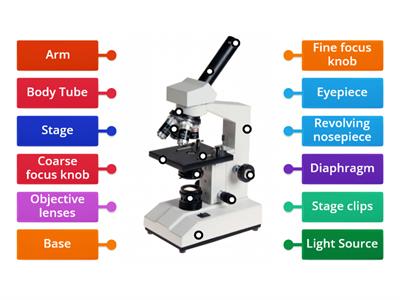 Labeling the Parts of a Microscope