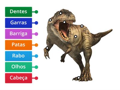 Partes do dinossauro