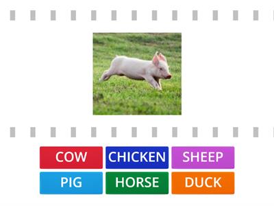 Look1_Unit8_Farm animals 3