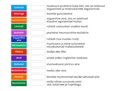 Muld - mõisted