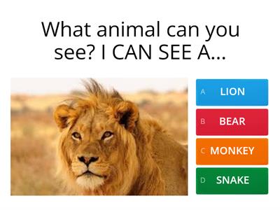WHAT ANIMAL CAN YOU SEE? 