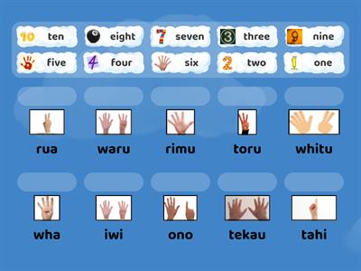 Counting to 10 in Maori with Picture Cues- Matching activity