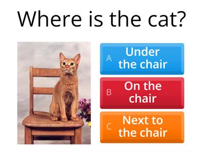 "Where" questions- prepositions