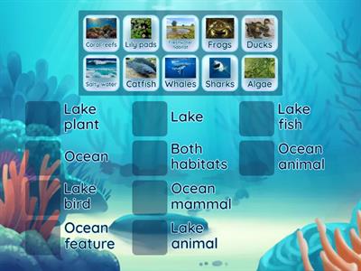 Ocean and Lake Habitats Match-Up