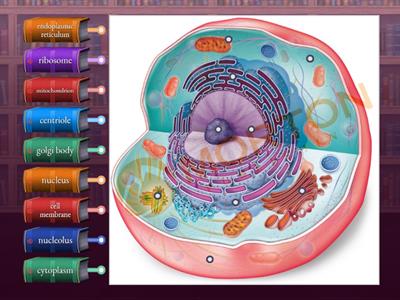 Cell structure