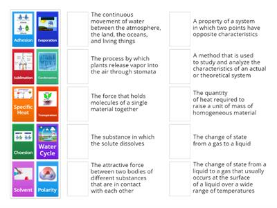 Unit 1-2 Science vocab 