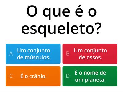  Quiz sobre os ossos