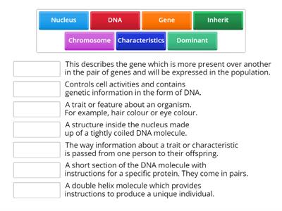 Chromosomes, DNA & Genes Definition 