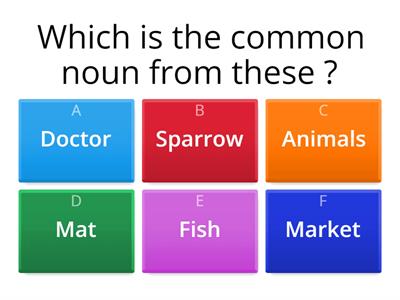 grammar ( Noun) and ( Singular and Plural)