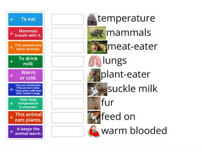 Mammals grade 3 vocabulary