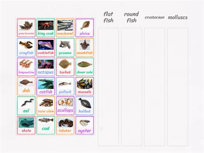 types of fish & seafood 