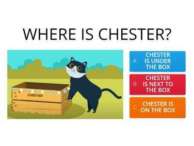 WHERE IS CHESTER?