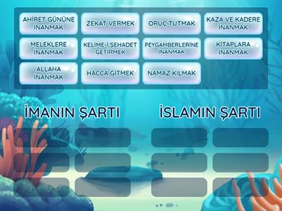 İMANIN MI ŞARTI İSLAMIN MI? (9)