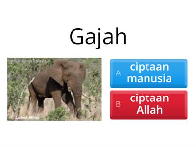 Ciptaan Allah dan Ciptaan Manusia