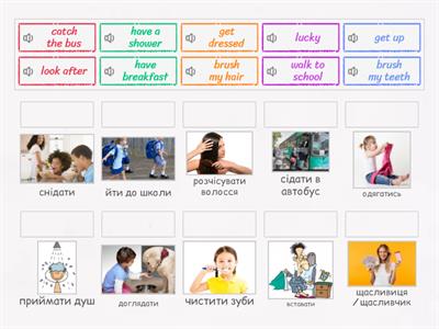 F&F3 Unit 6 Vocabulary