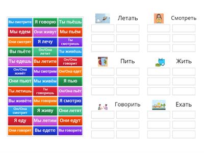 Y6 verbs