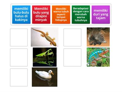 MATERI :  cara makhluk hidup menyesuaikan diri dengan lingkungan