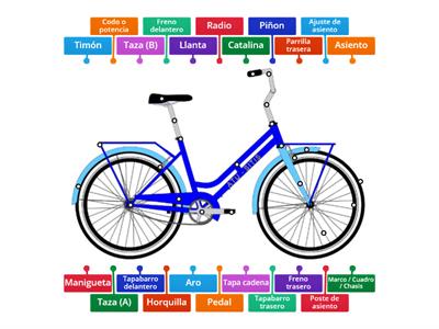 Las partes de la bicicleta