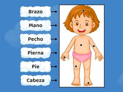 Partes Gruesas de mi Cuerpo (niña)