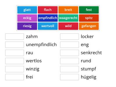 B1 Gegenteil