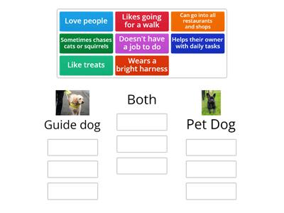 Guide Dog or Pet Dog 