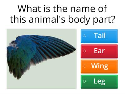 It has (animals) (3rd grade)