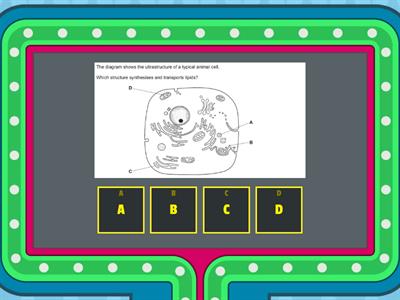 Cell structure  - Quiz 1  - AS Bio