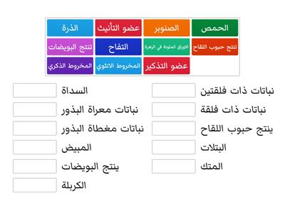 اختبار 1 الصف الرابع