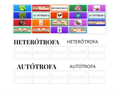 TIPOS DE NUTRICIÓN