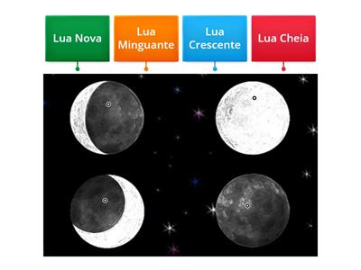 Ciências - Fases da Lua