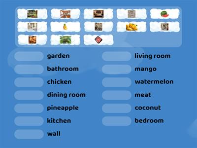 Unit 5- Vocabulary