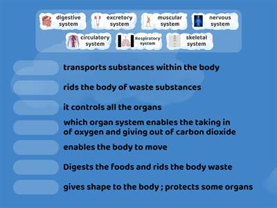 organ system 