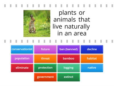 Giant Pandas ReadWorks Article Vocabulary Find the Match