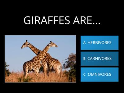 CARNIVORES, HERBIVORES OR OMNIVORES ?