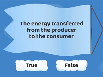 Food chains grade 4