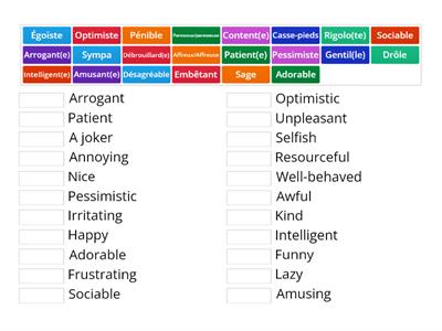 Y8 French - personality adjectives