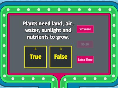 Class 3 Chapter 4 Plants Around Us 