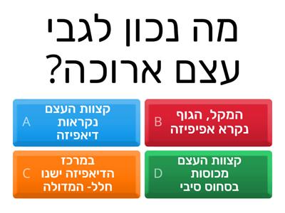 אנטומיה א