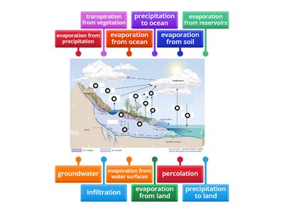 Water Cycle labelling