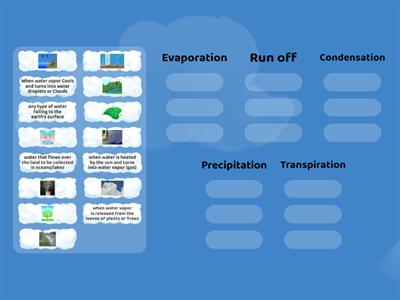 Water Cycle Vocabulary
