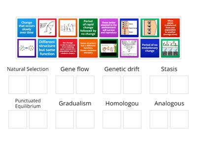 Evolution Vocab 1